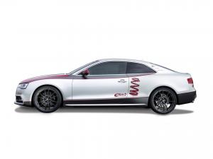 Audi S5 Coupe by Eibach 2012 года 
